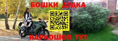 mdpv Новодвинск