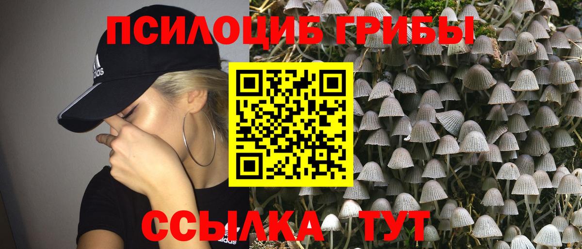 Галлюциногенные грибы Psilocybine cubensis Приморско-Ахтарск