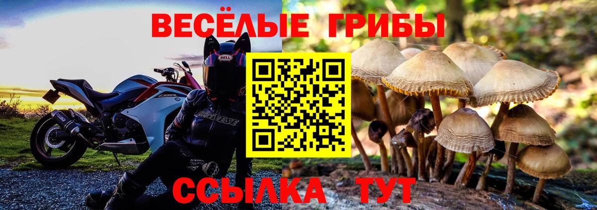 Приморско-Ахтарск  Галлюциногенные грибы Cubensis  Вход с VPN 